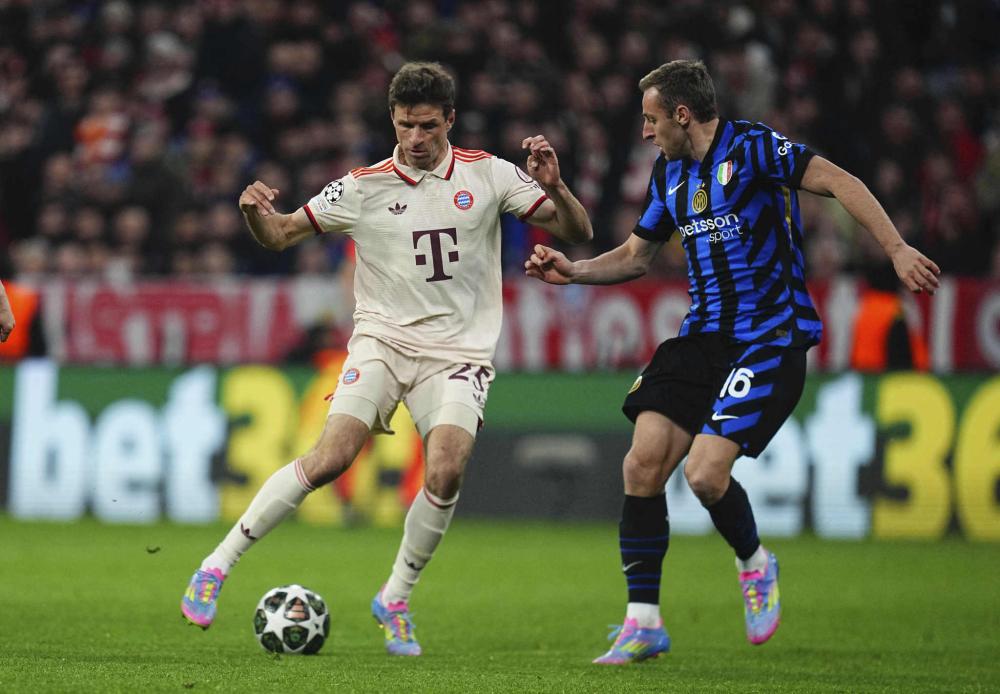 仅展现了篮 仅展现了篮